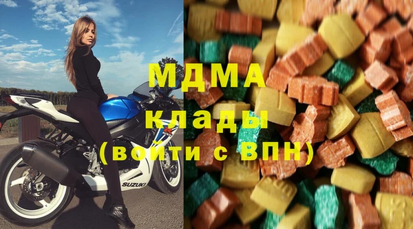 индика Вяземский