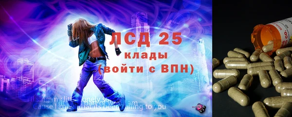 прущие крисы Бородино