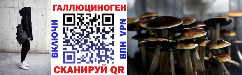 Галлюциногенные грибы Psilocybine cubensis  Вилюйск 